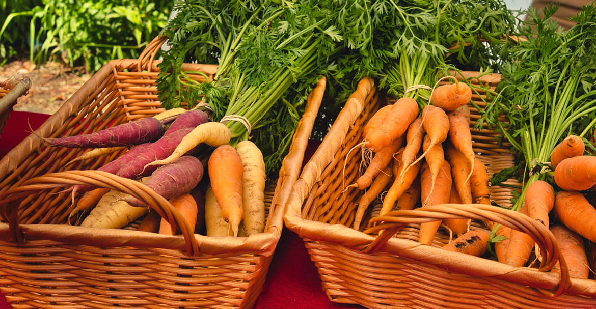 Đọc bài viết gây tranh cãi này và tìm hiểu thêm về hữu cơ.